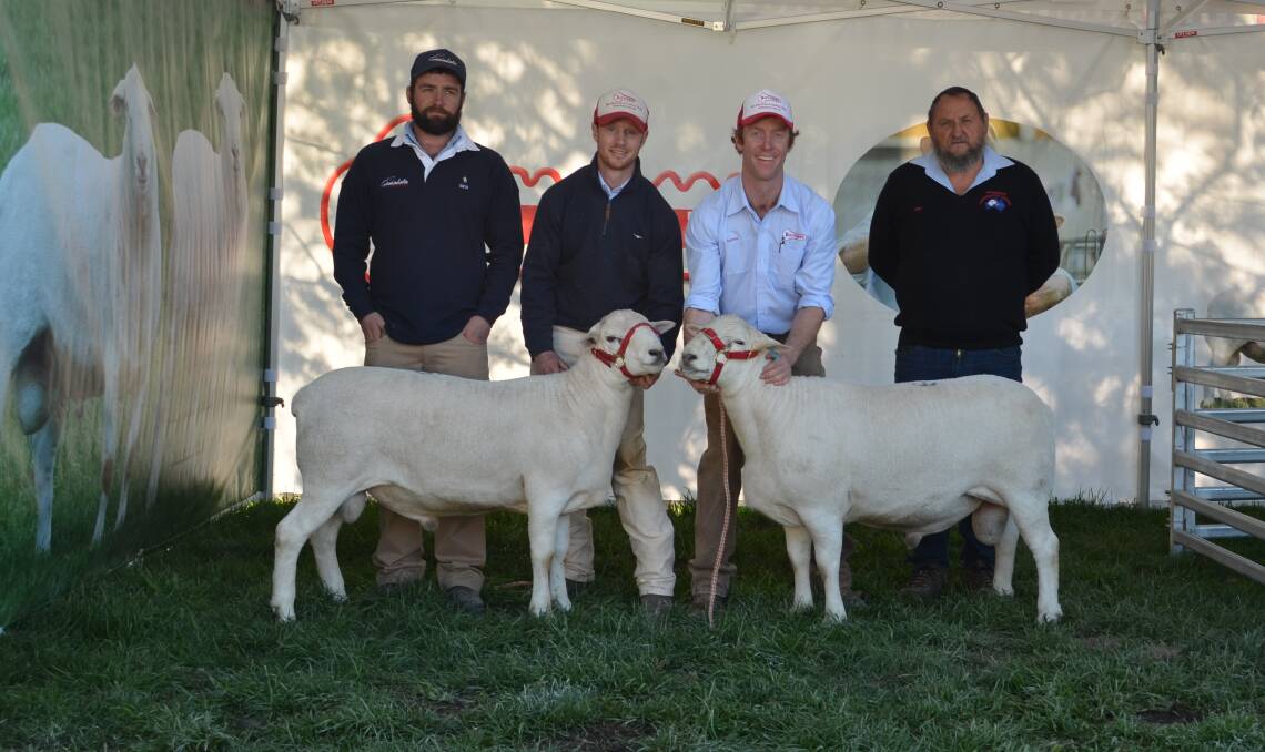 Ben Rowney, Ross and James Gilmore, Tattykeel, Oberon and Nip Rowney, Gamadale, Victoria who purchased two rams.