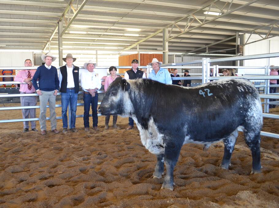 Brian Kennedy, Elders Livestock, Paul Dooley, auctioneer, stud principal, David Reid, stud manager, Dennis Power, Anna and Robbie Clark, New Zealand, and Paul Hourn, Hanging Rock Speckle Parks with the $32,000 bull.