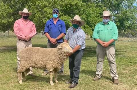 Paul Jameson, Elders Stud Stock, Saxon Holland,Temerity Pastoral, Coolah, James Armstrong, Cassilis Park, holding the top priced ram and Brad Wilson, Nutrien Stud Stock. Photo: supplied.