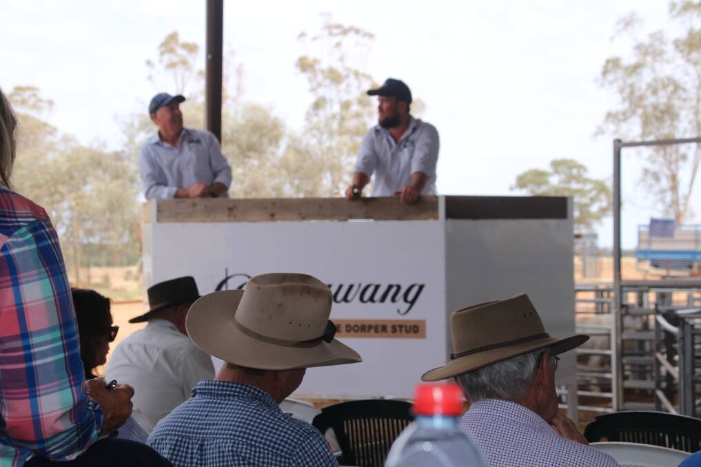 A 100 per cent clearance at Burrawang Dorpers, Ootha, showed the trust and loyalty for the stud at the 14th on-farm sale.