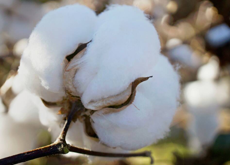 After $300m Midkin sale, US owners cotton on to more Auscott exit options