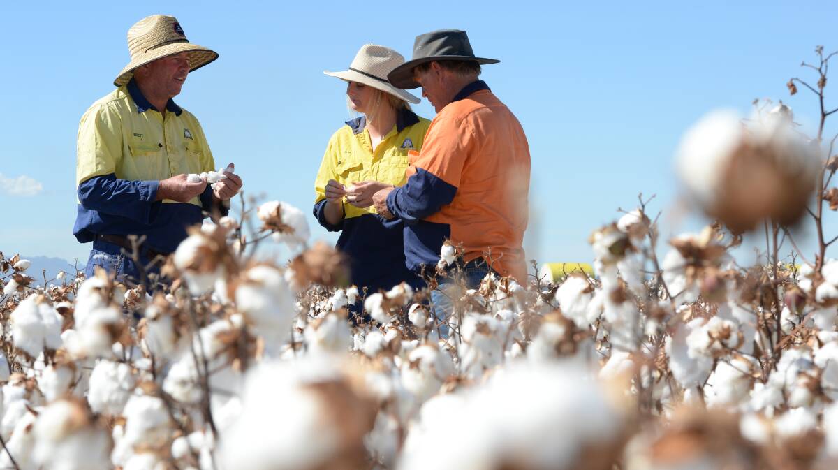 Cotton growers, intensive livestock producers and  mixed sheep-wheat-beef enterprise owners are least likely to be leaving their farms, but 27 per cent of Australian primary producers expect to quit within five years.