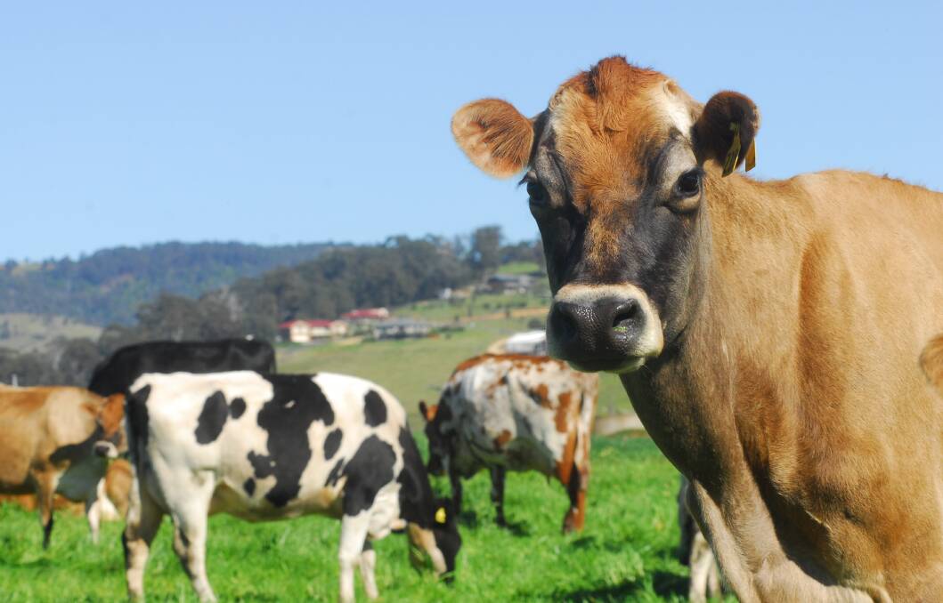 Peak dairy farmer body now backs mandatory code of practice