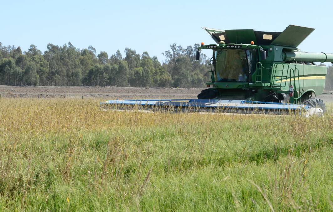 Special contracts offered to help fix Aussie rice shortage