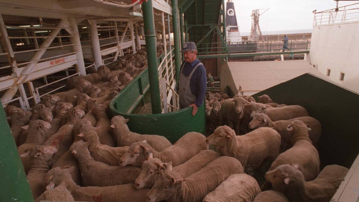 The new big M/V Ocean Shearer will be an important part of Wellard’s strategy to increase global live sheep and cattle trade to meet growing consumer demand. 