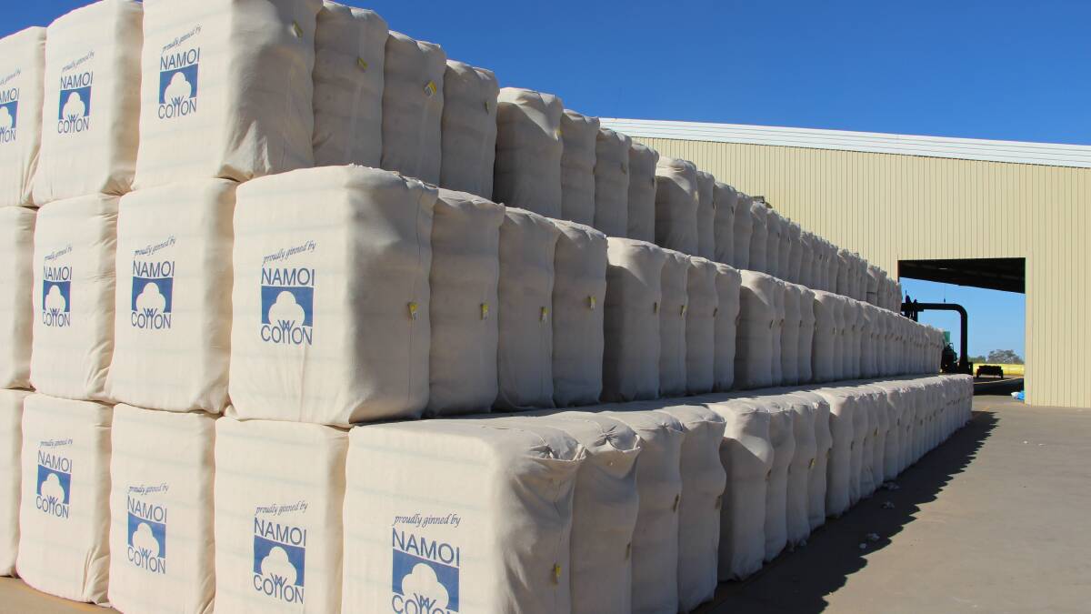 Namoi deploys overseas help to gin 1.2m bales after reporting another loss