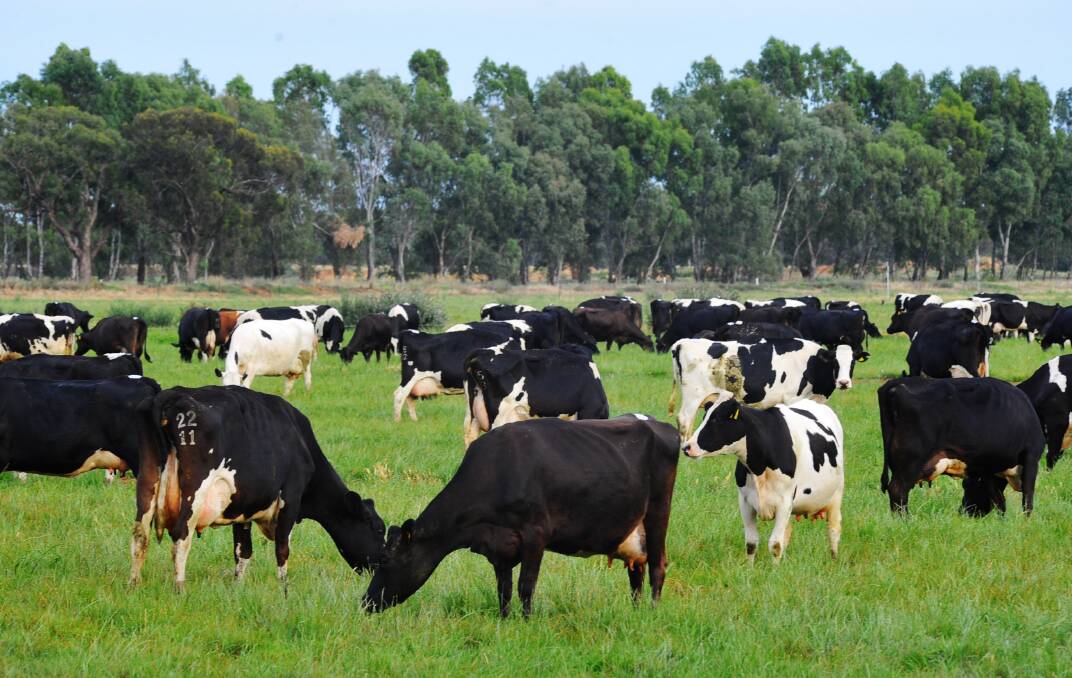 Woolworths 10c milk 'gimmick' leaves farmers $90m short: Littleproud