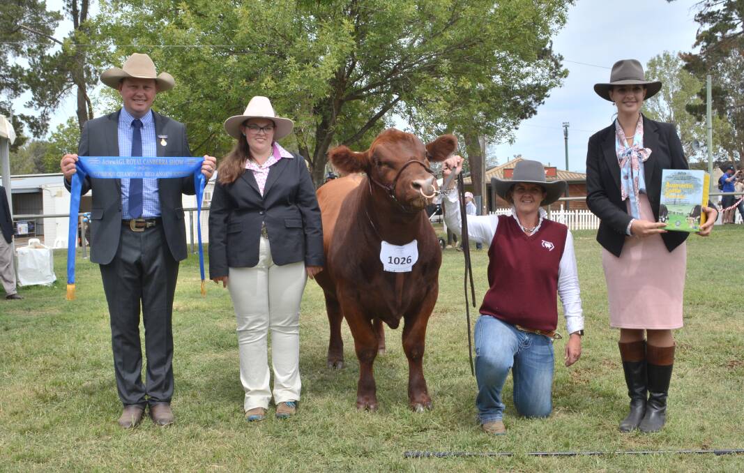 The supreme Red Angus exhibit owned and handled by Christie Fuller, Black Diamond Angus, Cowra, with judge Tim Reid, JTR Cattle, Roslyn, and associate judge Michelle Fairall, Micanker Livestock, Harden, and International Animal Health's Eliza Babazogli. Photo: Hannah Powe 