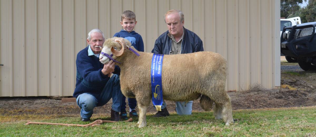 CHAMPION RAM: Purchaser of the grand champion Dorset Horn ram, KP tag 36, Keith Coble with grandson Oscar, 5, Kei-Vale and Wheeo studs, Boorowa, and breeder Evan Wright, KP and Right studs, Bendemeer. 