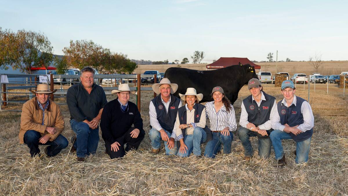 The $80,000 top-priced bull at Texas Angus with Dave Gibson, World Wide Sires Australia, buyer John Hurley, Kiah Maroo Angus, Toobeah, auctioneer Mark Duffy, Ben and Wendy Mayne, Texas Angus, Warialda, and their children Rosie, Will and Lachlan. Photo: Simon Chamberlain 
