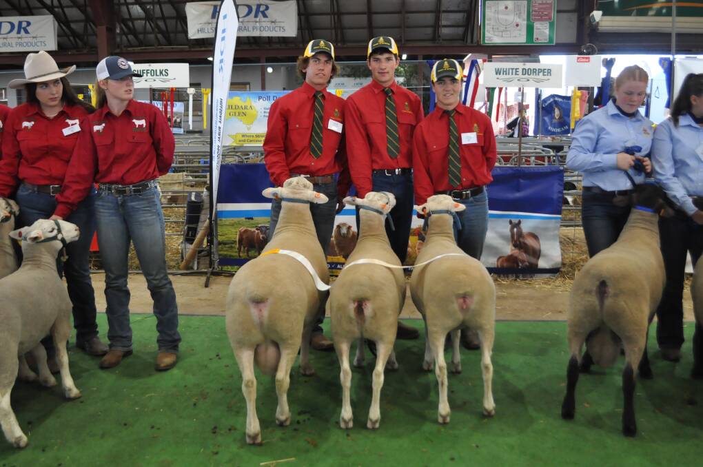 Third place in the Goongunyah Shield interschool competition went to Farrer Memorial Agricultural High School with their White Suffolk team. Students include Lachie Smith, Jack Teague and Hugh Shadwell. Photo by: Olivia Calver