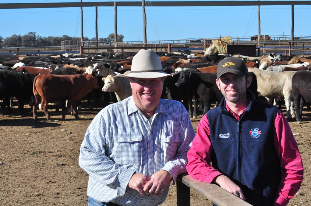 NSW Beef Spectacular Feedback Trial analyst Jeff House, and Teys Australia Jindalee Feedlot manager Shane Bullock.