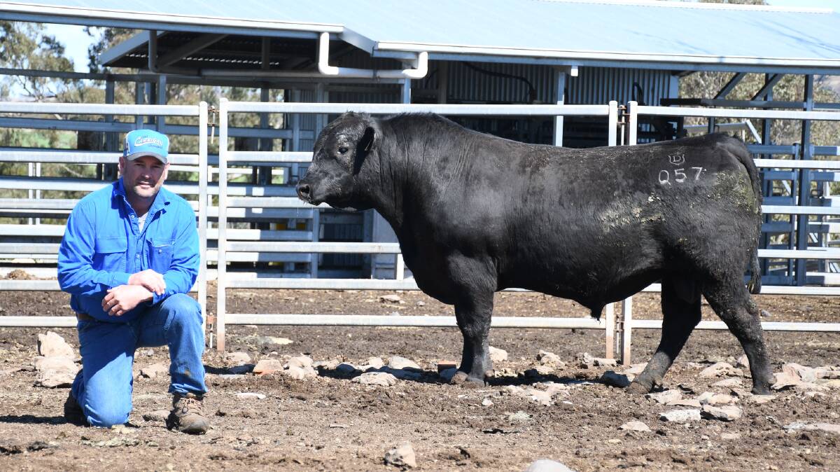 Elliot McKinnon of Dales Angus with the $13,000 bull, Dales Q57, which sold to Ian Moore of Powerhouse Pastoral Co, Nundle. Photo: Target Livestock and Marketing