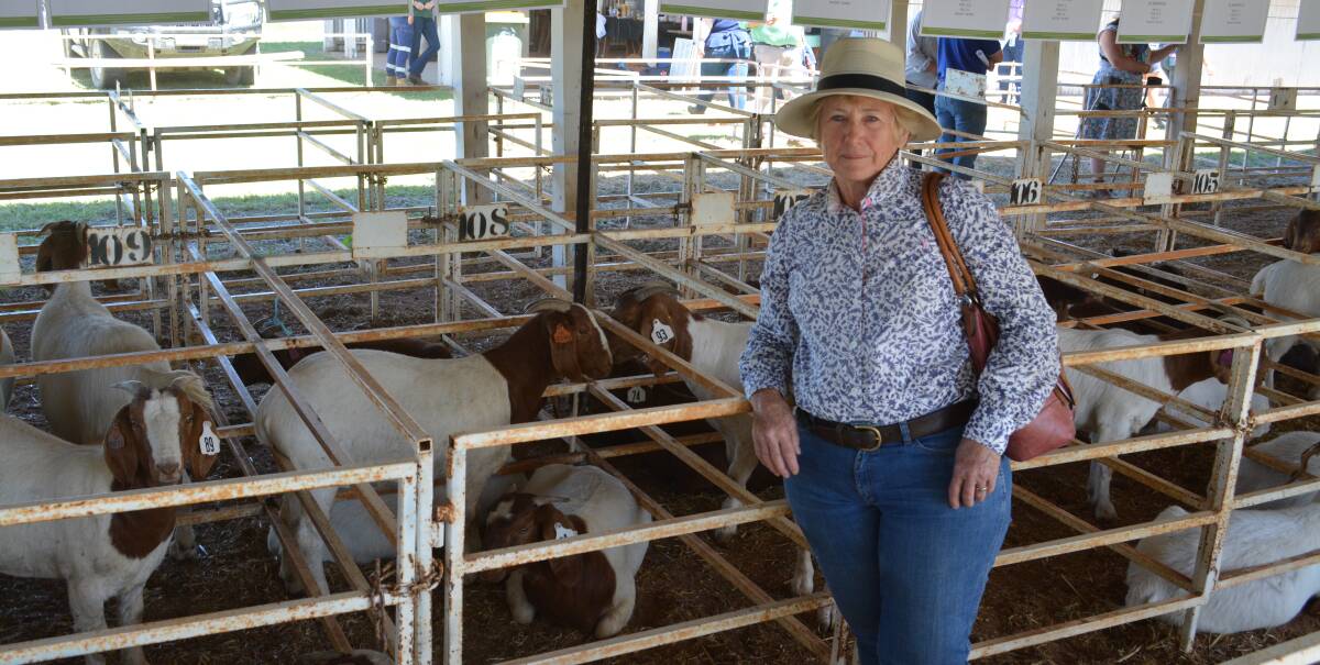 OPPORTUNITIES RISE: Sue Donnelly, Taylors Arm near Macksville, says 90 per cent of the time goats are perfect for the producers on the coast. 