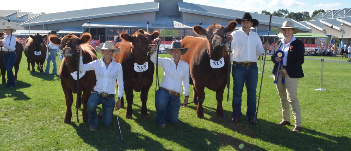 Rachael Wheeler, RDM Angus, Bakers Swamp, Christie Fuller and Gavin Iseppi, Diamond Red Angus, Cowra, lead the Diamond Red Angus breeder's group to first place. 