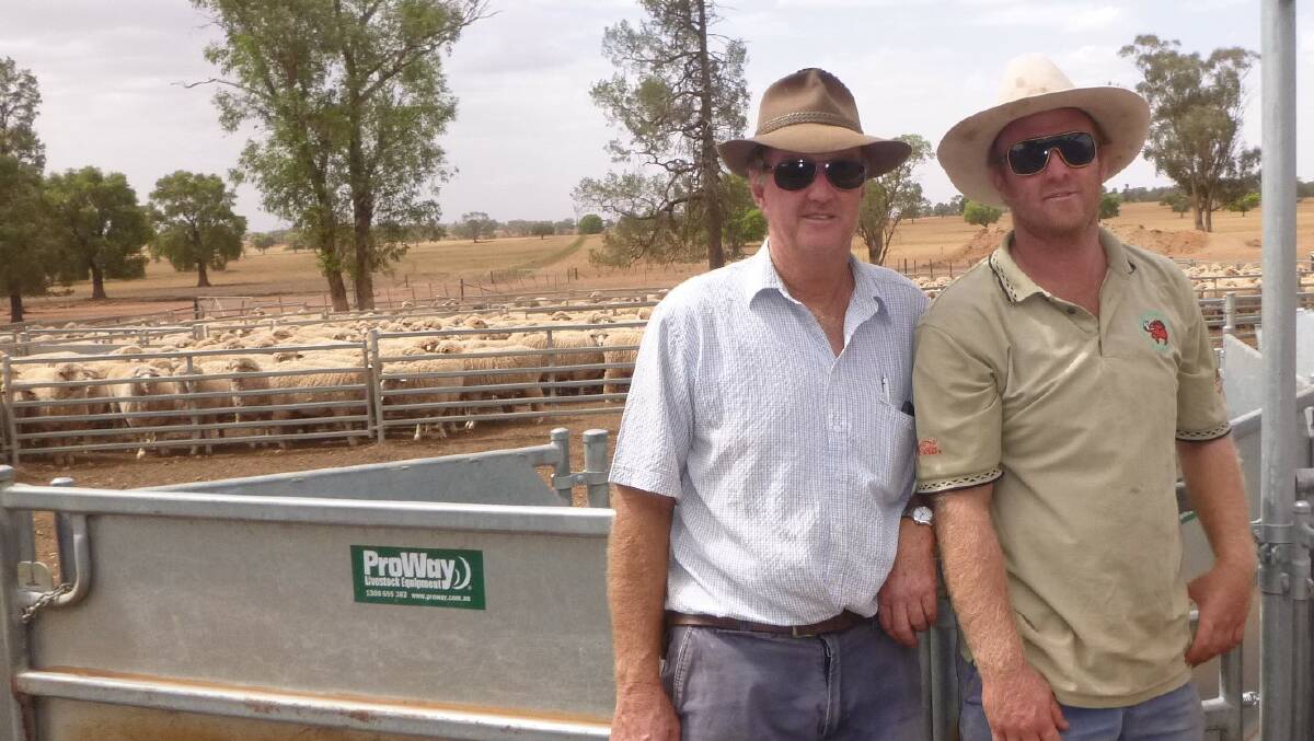 Barry and Jarrod Carruthers, Millbank, Tullibigeal, with their One Oak Poll ewes that topped the Lake Cargelligo Maiden Merino Ewe Competition last friday. 