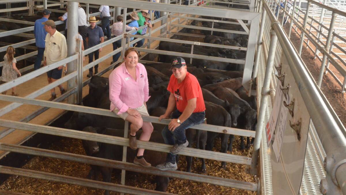 Best presented pen of heifers co-sponsor, Liz Pearson of Angus Australia, Armidale,with winner, Marcus Oates, Living Springs, Indigo Valley, Vic, with his pen of 23 Angus heifers of Murra and Witherswood blood, 10 to 11 months averaging 392kg sold for the sales top price at $1090. Photo: Mark Griggs