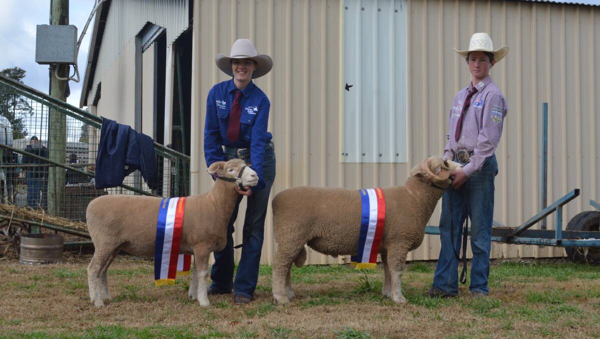 Champion Dorset Horn ewe Bimbadeen Park tag 79 handled by Emily Hoffmann, year 9, and the champion Dorset Horn ram Bimbadeen Park tag 86 led by Linden Raaen, year 10, both of Coonabarabran.