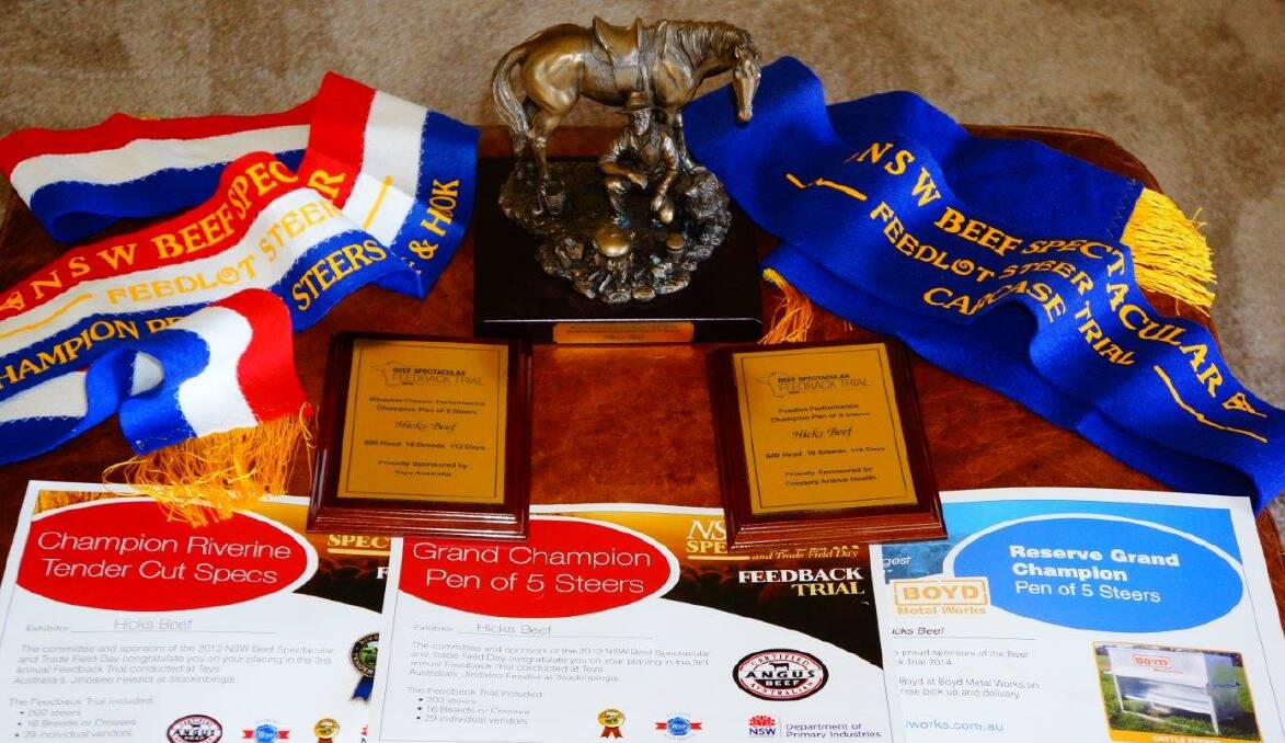 Hicks Beef's champion stash with all their ribbons, trophies and certificates from their biggest years (2011 to 2014). Photo supplied.