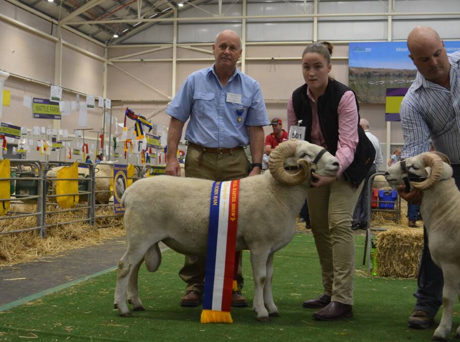 Grand champion Wiltshire Horn ram, O'Loghlin Giant, with judge Peter Shepherd, Crookwell, and handler Ashlea Cross, Tintern Grammar, Victoria. 