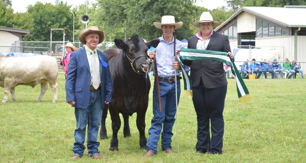 RESERVE CHAMPION: Judge Steve Carter, Blackjack Shorthorns, Tumut, reserve champion open steer exhibited by The Riverina Anglican College with handler Jacob Kerrisk of JC Cattle Co, Wagga Wagga, and associate judge Emily Polsen, Grace Valley Livestock, Yass. 