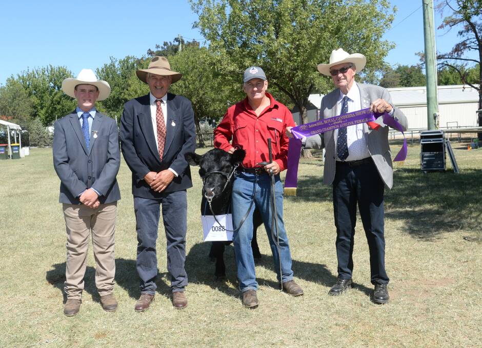 John Hudson's Ausline grand champion bull held by Billy Forest of Brisbane, and pictured with associate judge Hamish Maclure, Tarcutta, and judge Peter Collins, Tennyson, Victoria, and ribbon presenter Phil Bower. 
