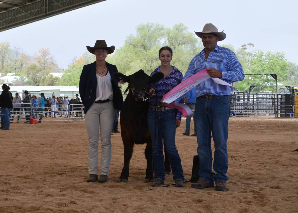 Judge Claudia Neilsen and previous Upper Hunter Beef Bonanza president Doug Robertson sash the champion led heifer, Oakwood Cut Tha Tears, exhibited by the Berdihold Limousin stud and led by Mira Urban. 