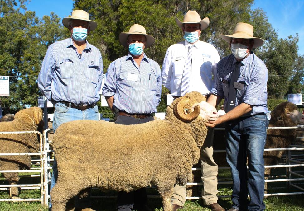 The top-priced ram of the day was Merino ram HR 200531, purchased for $20,000 by James and Jo Morris, Bonanza Merino Stud, Walgett. Pictured is Bonanza Stud Classer Andy McLeod who purchased on behalf of the Morris family; Haddon Rig Stud Principal George Falkiner, Warren; Auctioneer Paul Dooley, Paul Dooley Pty Ltd, Tamworth and HR Stud Manager Andy Maclean, Warren.