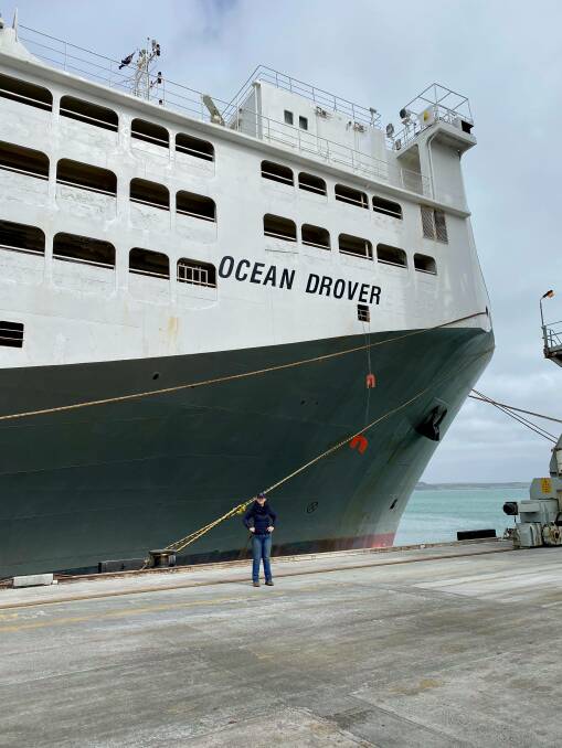 Tahlia McSwain's first voyage was on the Ocean Drover in December 2019/January 2020 where the vessel took breeder cattle to China. Photo: supplied
