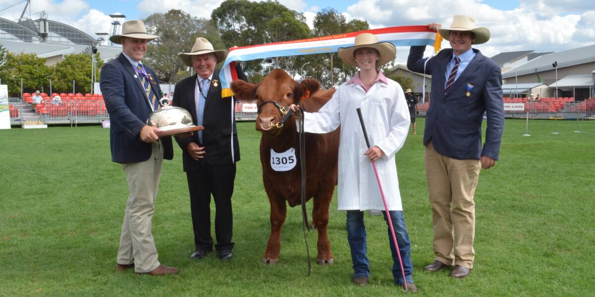 RAS councillor and cattle committee member Alastair Rayner, RAS president Michael Millner, and judge Kieran Te Velde of Bob Jamieson Stock and Station Agents, Inverell sash the overall grand champion steer led by Scots All Saints College student Eva Green, year 10, Bathurst. Photo: Hannah Powe