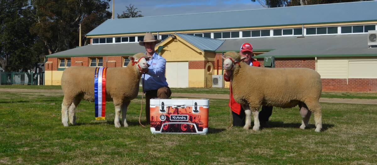 James and Graham Gilmore, Tattykeel stud, Oberon hold the grand champion ewe and reserve senior champion ram that teamed up to win the Total Ag Solutions NSW mixed pair of the year sash. 