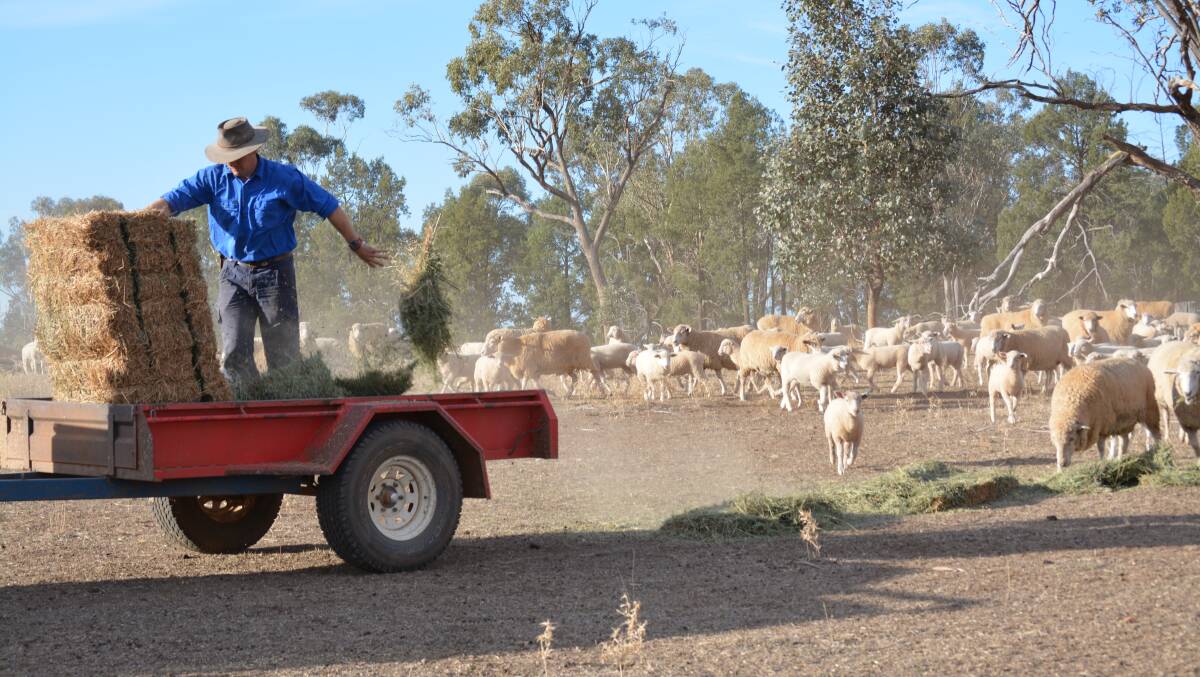 Central Tablelands LLS officer, Brett Littler, said producers shouldn't guess how much they should feed. "Get a feed test and know what you are dealing with. There could be major variation in nutritional quality across different feeds."