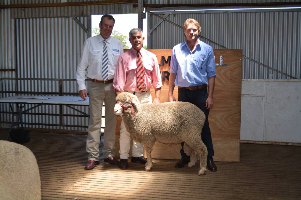 Auctioneer Paul Dooley, Tamworth, with Elders district wool manager Tom Henry, New England, and Eddy Cordingley, Lorelmo Poll Merinos. 