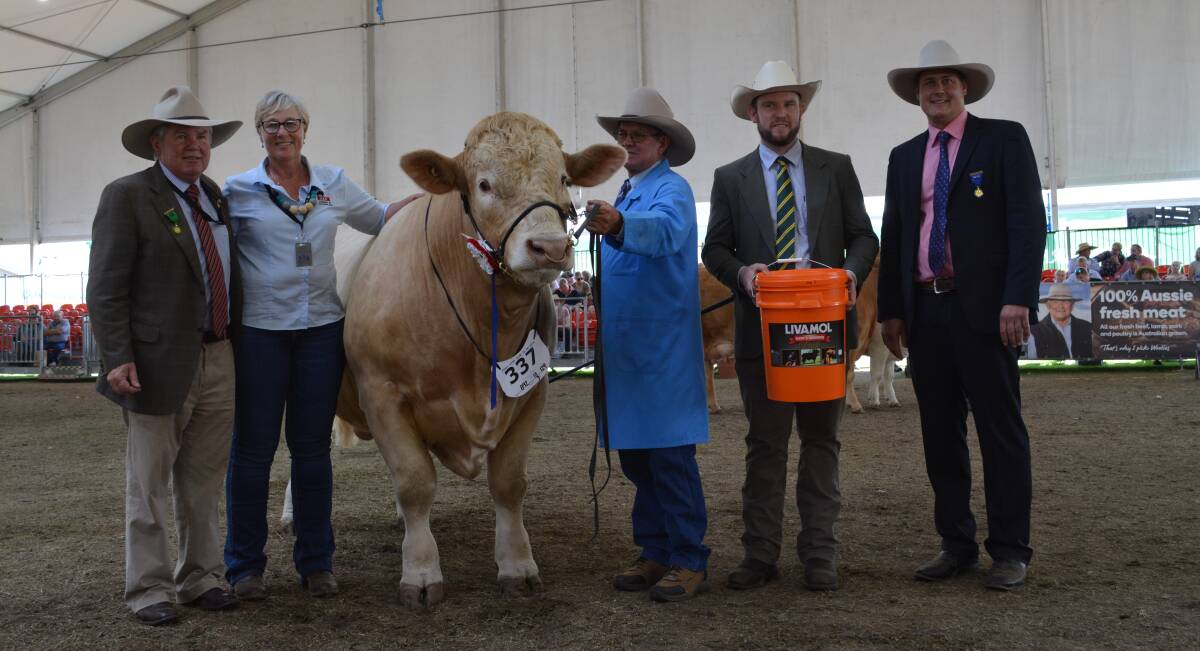 Michael Millner, Blayney, with DSK Charolais owners Helen Alexander and Chris Knox, Coonabarabran, with their supreme exhibit, Shannon Lawlor, International Animal Health, and judge Tom Baker, Woonallee Simmentals, SA. 
