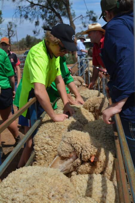 West Waylong High School students inspecting the fleeces at the Rees property. 