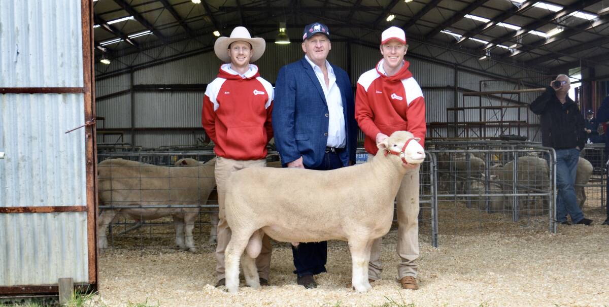 The $36,000 top-priced ram purchased by online buyers from South Australia pictured with Ross and James (right) Gilmore of Tattykeel Poll Dorset stud, Black Spring, and QPL Rural's Craig Pellow, Temora. 