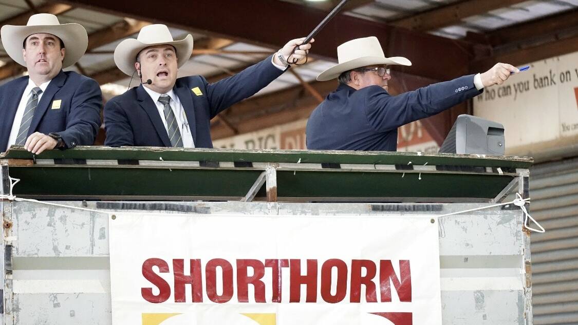 Ray White GTSM's Ryan Morris (centre) selling at the Dubbo Shorthorn National Show and Sale alongside James Brown and Michael Glasser. Photo: Supplied