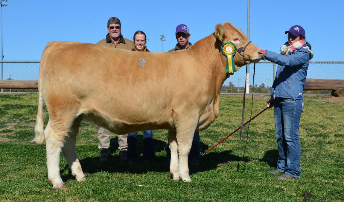 Buyers Jim Quilty and Amanda Cavenagh, Elgin Park Charolais, Elgin, WA, with vendors Glen Waldron and Kim Groner, Elite Cattle Company, Meandarra, Qld, and the equal top-priced heifer Elite Panache M43 (P) (R/F). 