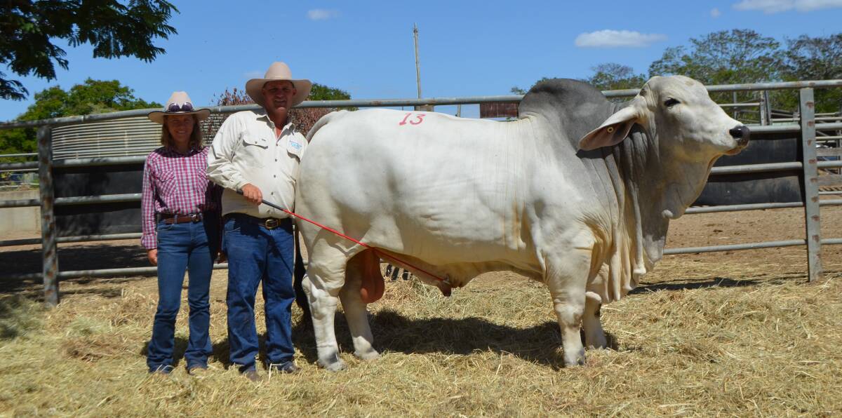 Buyer Michelle Lamb, with Lawson Camm, Cambil Brahmans, and the $72,500 Cambil Hemsworth 5455.