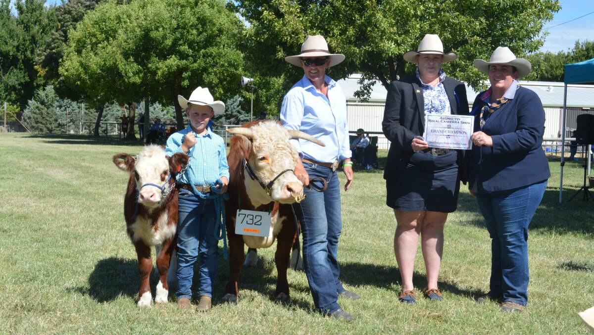 GRAND FEMALE: Riley Collins, 11, Goulburn and Sue Parish, Palisade stud, Bringelly, hold Palisade Donna, alongside judges Emily Polsen, Grace Valley Livestock, Yass, and Renae Keith, Allenae Angus and Poll Herefords. 