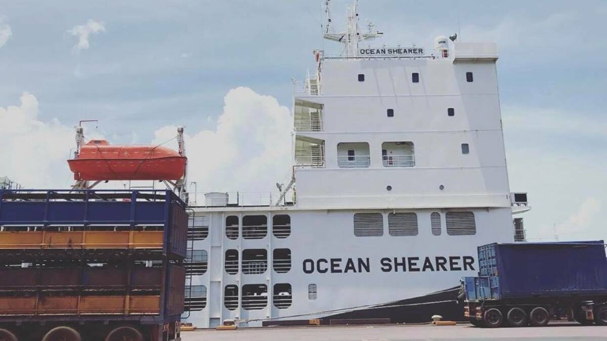 Her second voyage was on the Ocean Shearer transporting feeder cattle from Townsville to Jakarta. Photo: supplied 