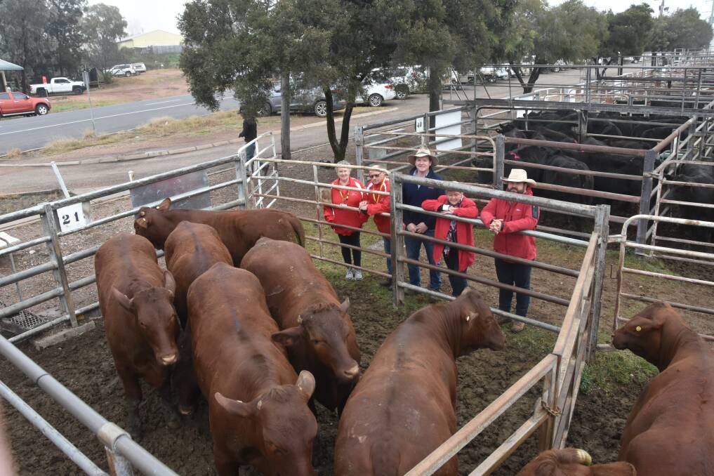 The Santa steers with Heather and John Stephens, Westpac Rescue Helicopter Service, Tom Dunlop of Munnabah stud, Kim Newling of WRHS, and John Glover, Elders. 