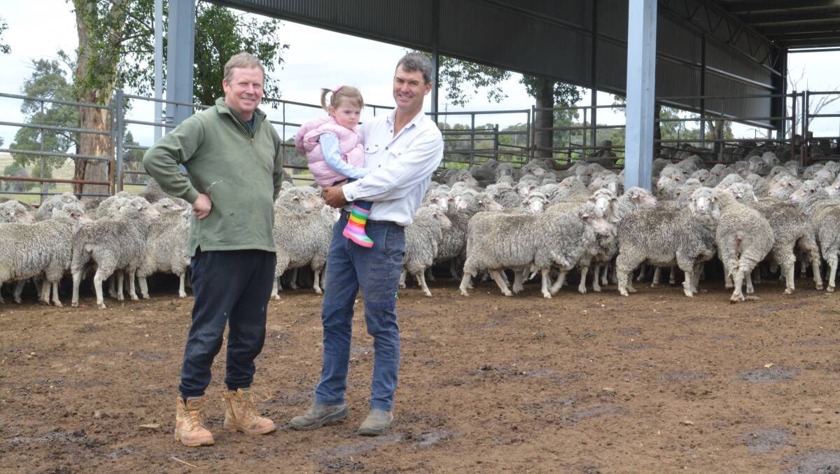 SHEEP GRAZIERS: Steve and Dan Owens with Dan's daughter Josephine, nearly two, and some of the ewes they are preparing for joining. Photo: Hannah Powe