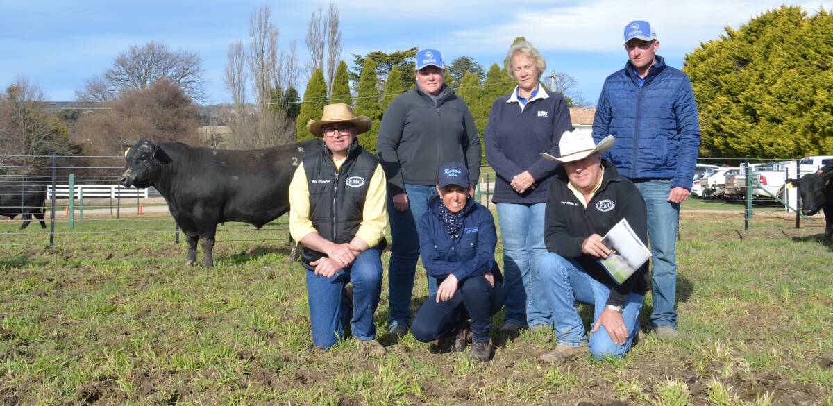 The $32,000 top-priced bull with buyers Pennie Lieb, Margo Duncan and Jamie Grosser of Boambee Angus, East Seaham, and (kneeling) auctioneer Liam Murphy of Ray White Emms Mooney, Karoo co-principal Annie Scott, Meadow Flat, and Ben Emms of Ray White Emms Mooney, Blayney. 