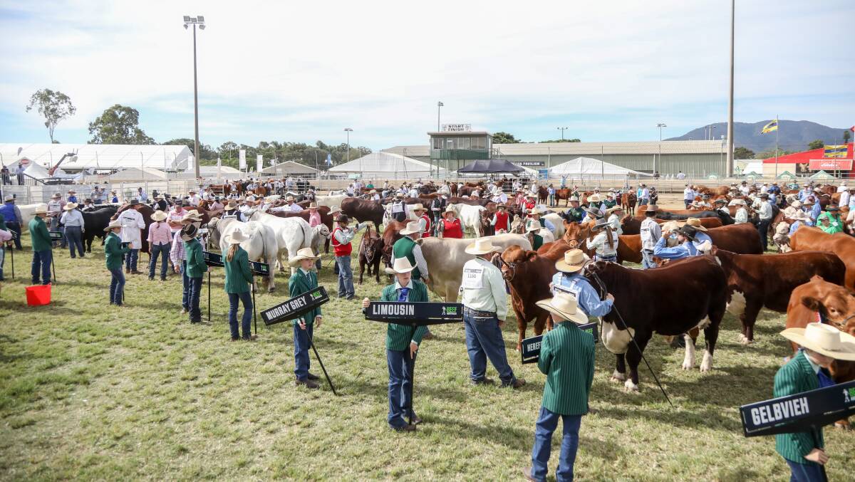 Some might have an eye for sheep and cattle, but why aren't more young judges having a crack at assessing different breeds or species, or even looking over the fence to another ring. Photo: Lucy Kinbacher 
