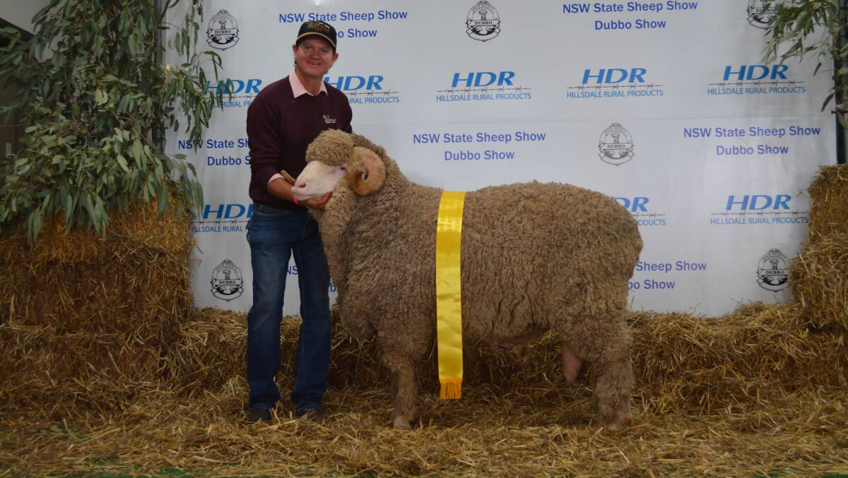 The supreme Merino exhibit of the NSW State Sheep Show at Dubbo was the champion medium/strong wool ram, Weealla 202, exhibited by the McBurnie family of Weealla stud, Balladoran, and held by Stuart McBurnie. 