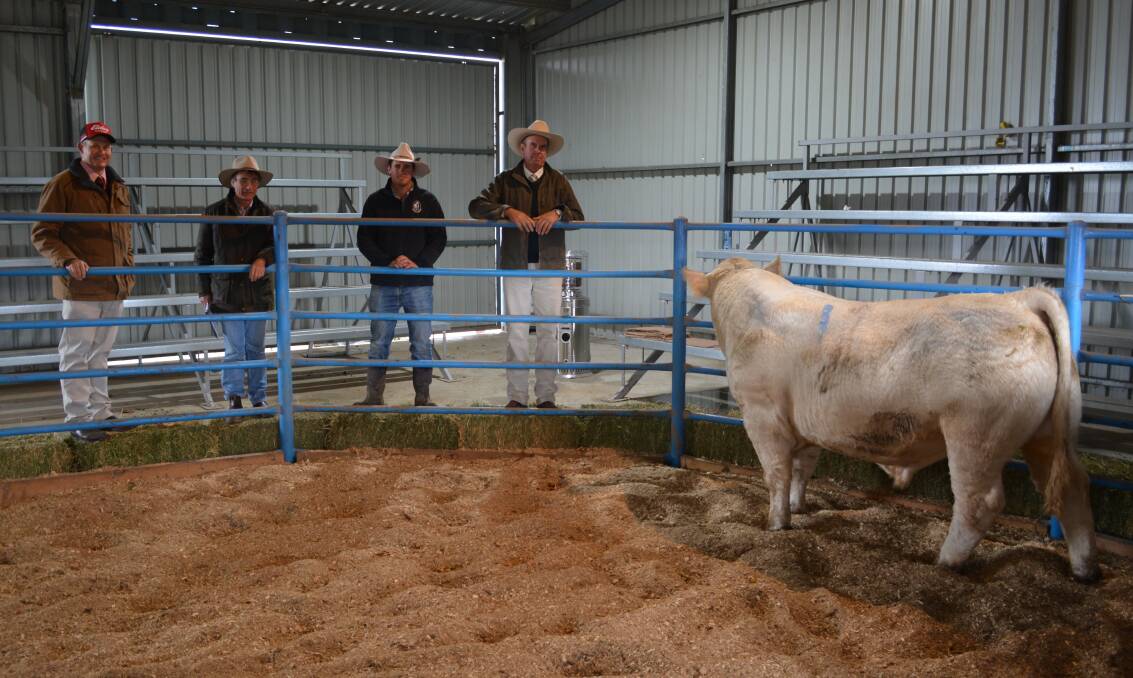 The $20,000 sale-topper with Elders Bathurst's Andrew Bickford, buyer Stuart Russ on behalf of undisclosed client of Nutrien Ag Solutions, Broken Hill with vendor James Millner of Rosedale Charolais, and guest auctioneer, Paul Dooley, Paul Dooley Pty Ltd, Tamworth. 