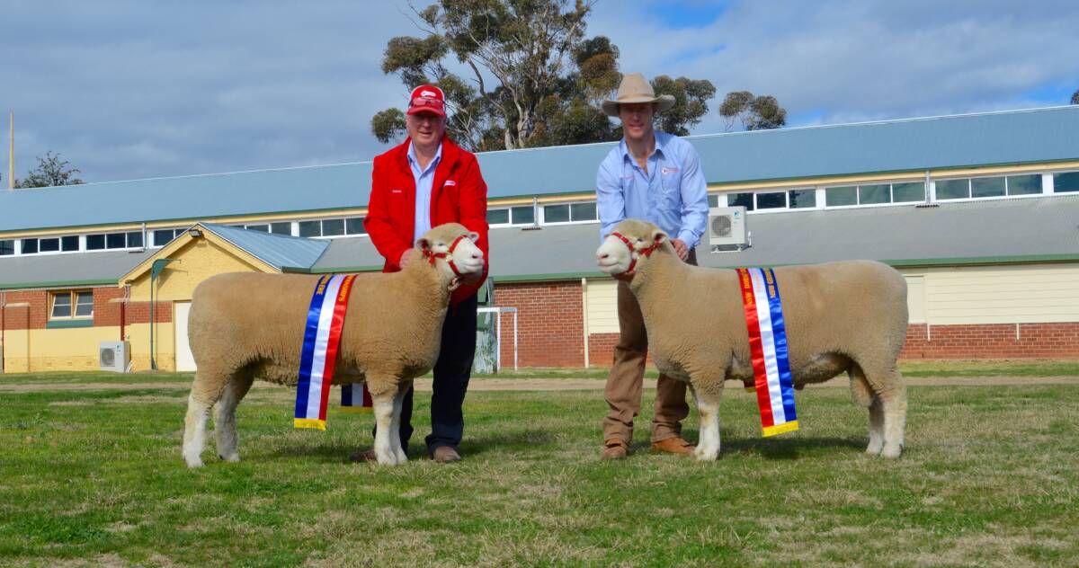 Graham and James Gilmore of Tattykeel Poll Dorsets, Oberon hold the grand champion ewe and grand champion ram of show. The ewe went on to be sashed the Bromar NSW supreme exhibit. 