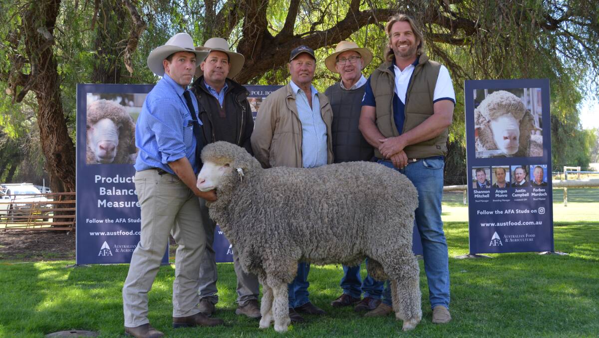 AFA stud manager Shannon Mitchell holding the $35,000 top-priced Poll Merino ram with purchasers Andy Maclean and George Falkiner from Haddon Rig Merinos, and Rob and Steve Lindsay from the Cora Lynn Merino stud.