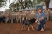 Green family sets bar high at the Mid-Lachlan Flock Ewe | Photos